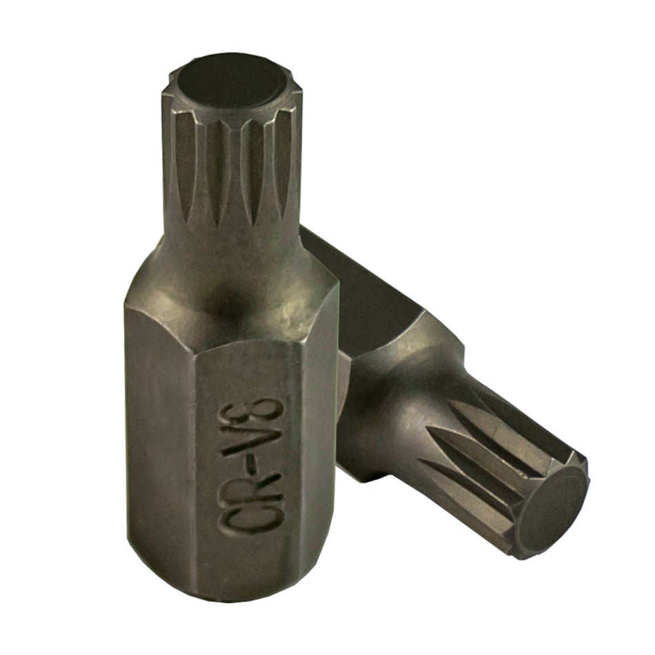 XZN FORET DU 10MM -  6MM