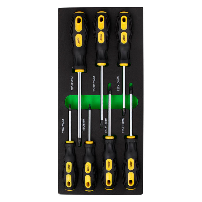 MODULE TOURNEVIS TORX EVA